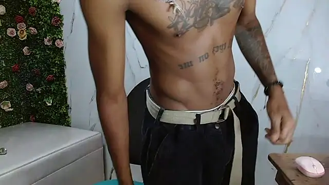 ManSant webcam