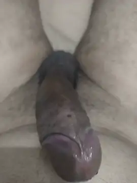 MalditoModelo