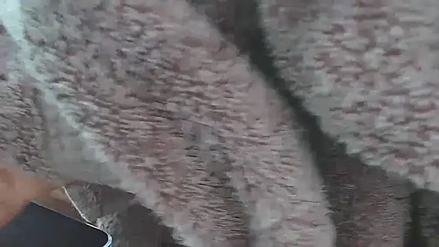 bigpru webcam
