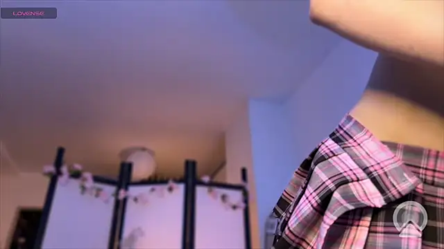 secrettape webcam