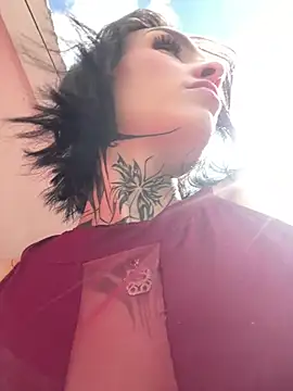 dulce-katt webcam
