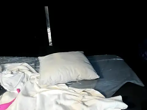 AlixDream_HL webcam