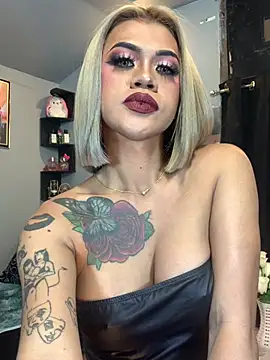 StellaStrong30 webcam