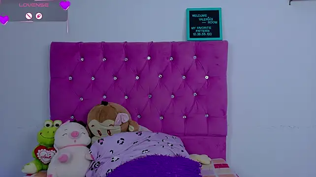 vagaro_11 webcam
