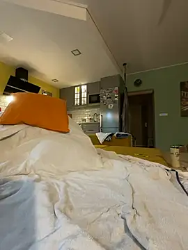 smint06 webcam