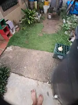 apolodiosgriego