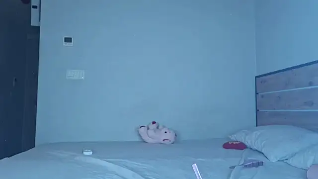 Kitten_Moon-TS webcam