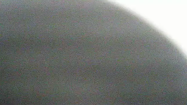 flayeyena webcam
