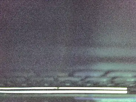 Sugarwhitney webcam