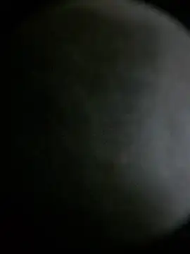 apolodiosgriego live cam on StripChat