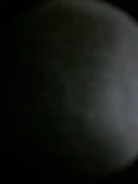 apolodiosgriego live sex cam