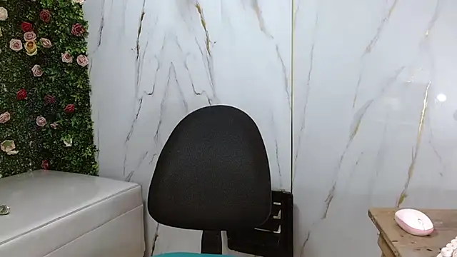 ManSant webcam