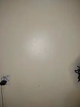 stilinsky5 live webcam