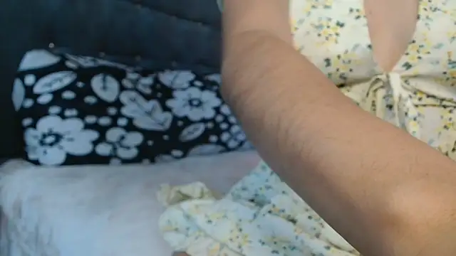 3littles webcam