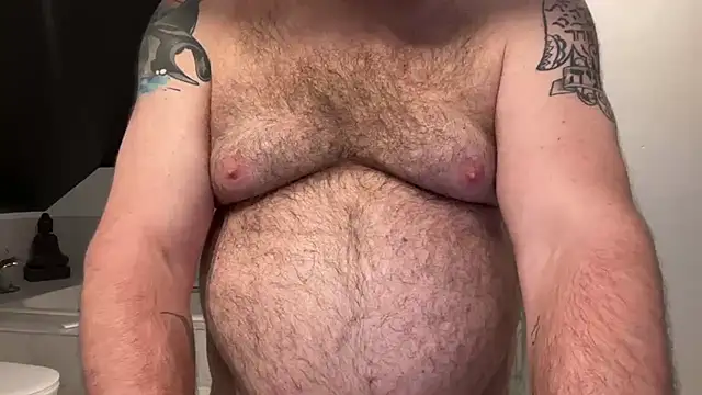 crb1234sc webcam