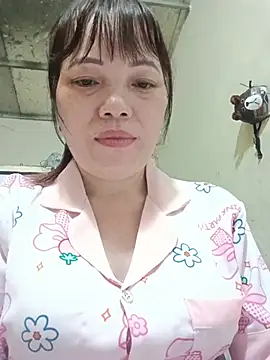 Sana-vn webcam