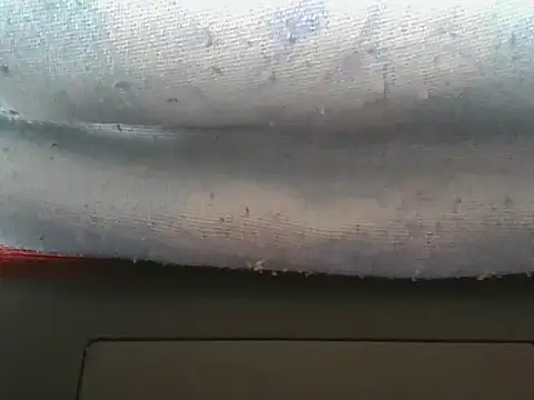 naughtypetite1 webcam