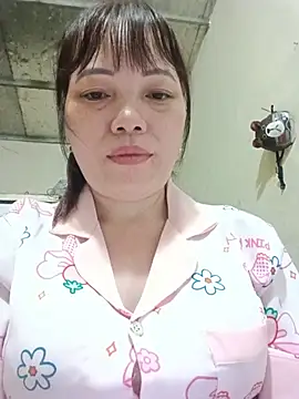 Sana-vn webcam