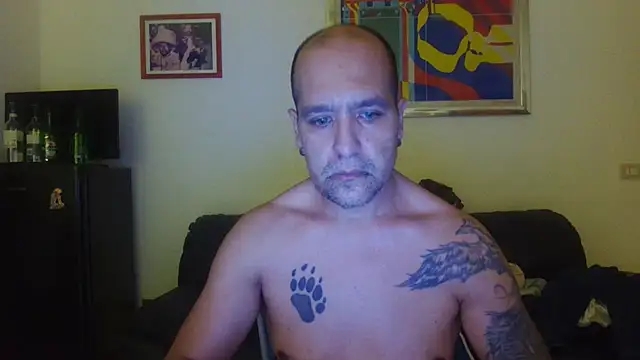 AMIRDIB2025