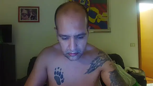 AMIRDIB2025