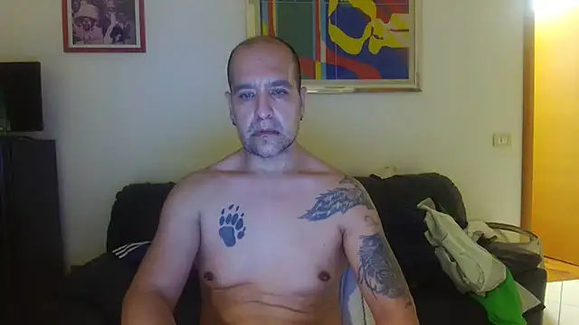 AMIRDIB2025 webcam