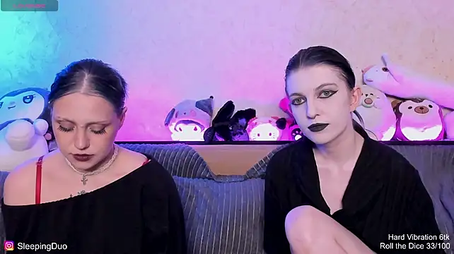 SleepingDuo webcam