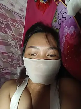 Hiha-nn webcam