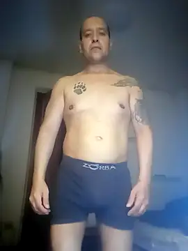 AMIRDIB2025 webcam