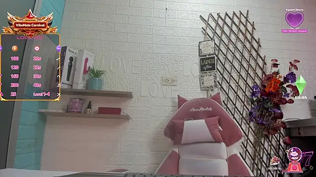 SALOME_KORLAND webcam
