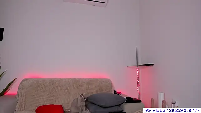 HoneyBunnyy_ live cam on StripChat
