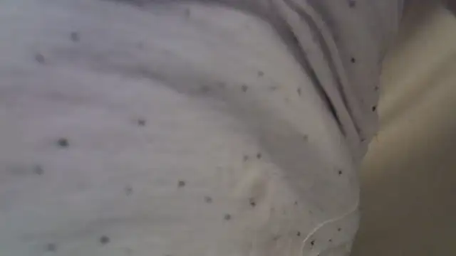 perescam webcam