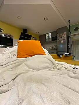 smint06 webcam