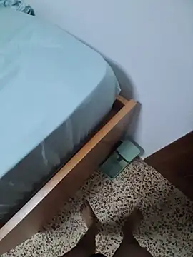 N5002 webcam