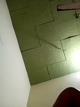 Fariboykin webcam