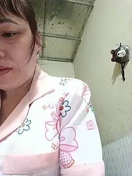 Sana-vn webcam