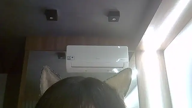 SkinnyKitten live cam on StripChat
