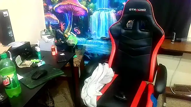 YoBleez webcam