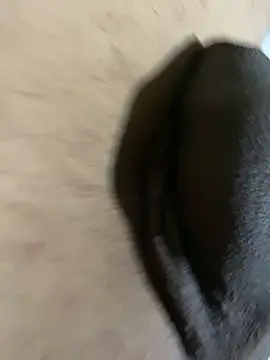 Freakyguy696 webcam
