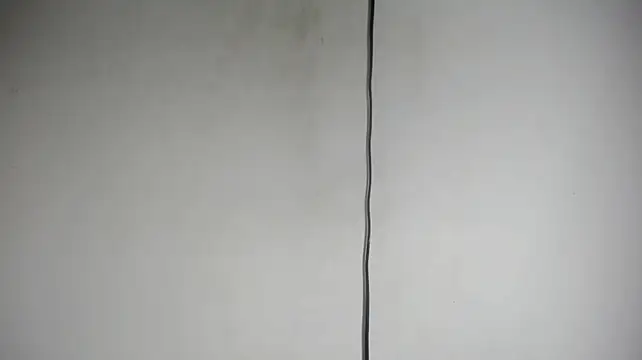 Fox_Loves webcam