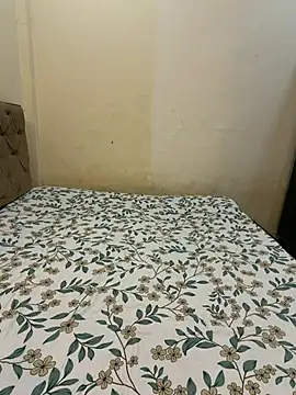PayalDesire live cam on StripChat