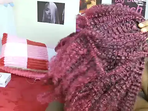 Aria_ah webcam