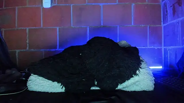Cata-angel webcam