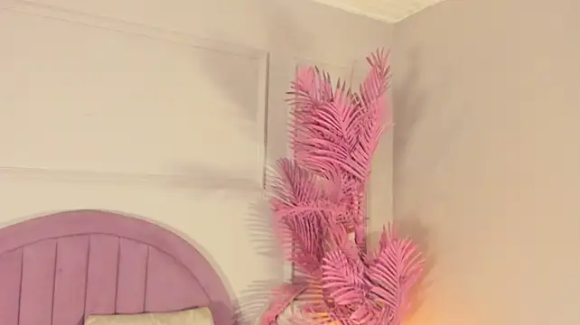Hanaahquinn webcam