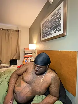 Tattedupdek webcam