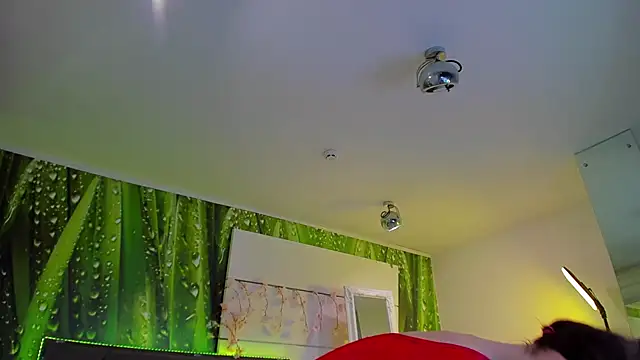 VeraWatts webcam