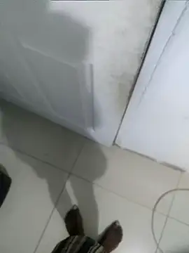 Sia100