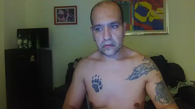 AMIRDIB2025 live cam on StripChat