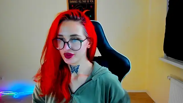 your_tora webcam