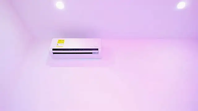 Eva_Grace_