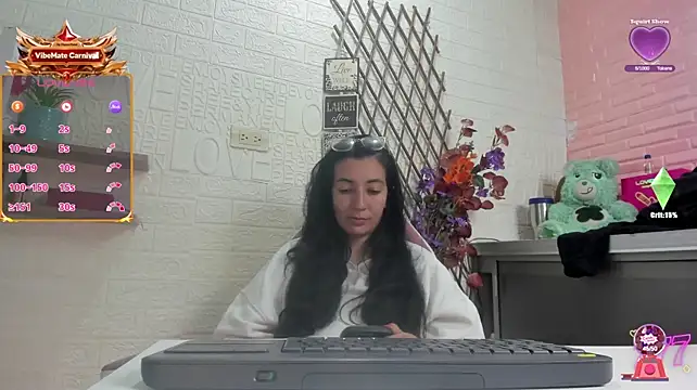 SALOME_KORLAND webcam
